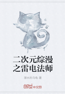 Ԫ֮׵編ʦ
