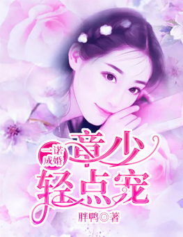 һŵɻ飺٣