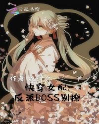 촩Ů䣺BOSS