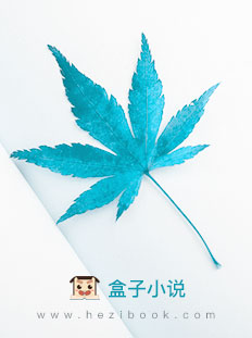 ǣҶ٣