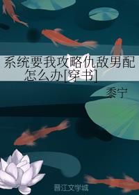 ϵͳҪҹԳô[]