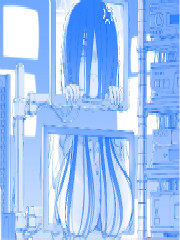 ҼŮڵ