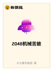 2048е