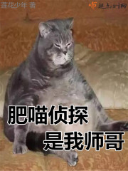 ̽ʦ