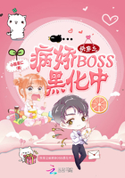 촩֮BOSSڻ