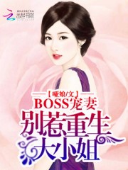 BOSSޣС