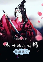 ̫ӵСָ