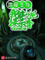 ؿ棺ʾ
