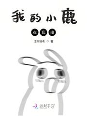 ҵС¹ײ