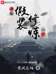 Ҿͼװһ