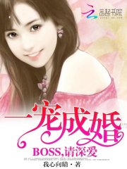һɻ飺BOSS
