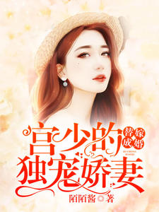 ޳ɻ飺ٵĶ轿