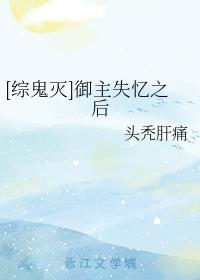 ʧ֮[۹]