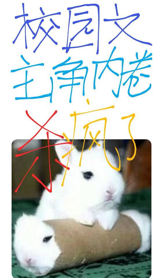 У԰ھ֮