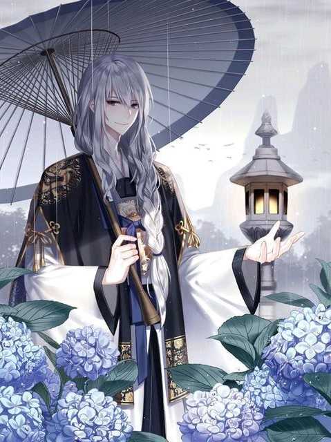 ½쿪С