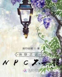 촩֮NPCһ