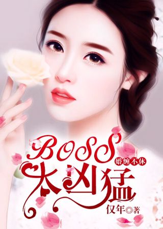 ݣBoss̫