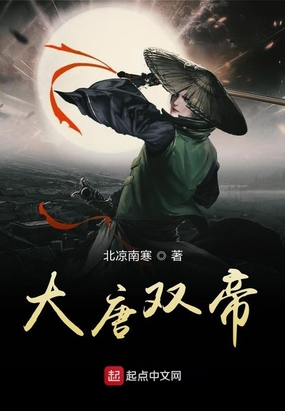 ˫