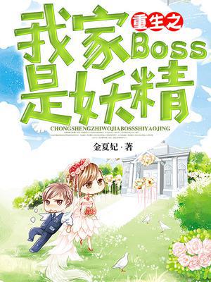 ֮ҼBOSS