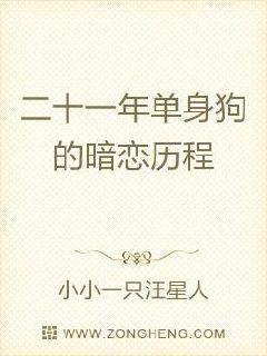 ʮһ굥İ