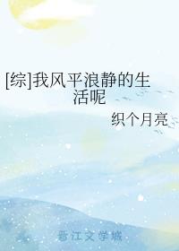 ҷƽ˾