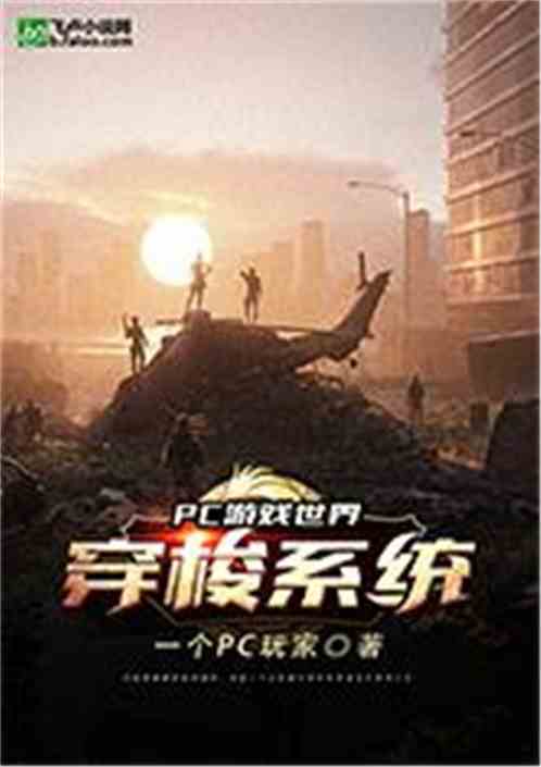 PCϷ紩ϵͳ