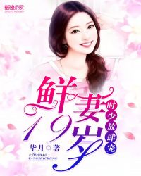 ʱٷ裺19