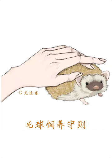 ë