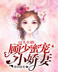 վ飺۳С