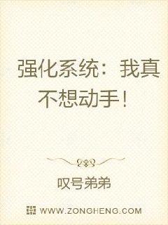 ǿϵͳ治붯֣