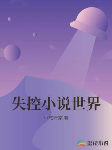 ʧС˵