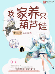 С˵ǽطɻ