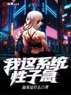 ϵͳӼ