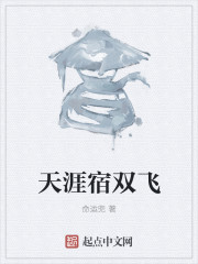 ˫