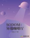 SODOM˿