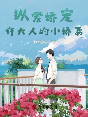 ݰ裬˵С
