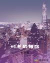 ʱı˶