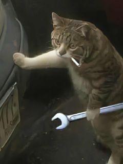 ԽҺϵͳ̸