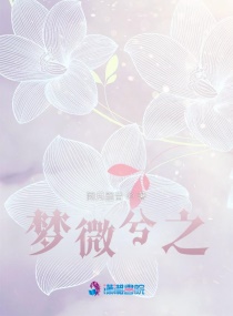 ΢֮