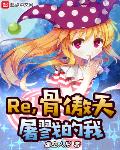 Re,ǰ¾