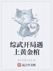 俪ϻƽ