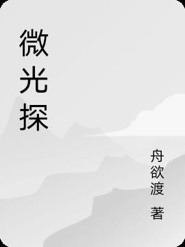 ΢̽