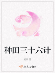 ʮ