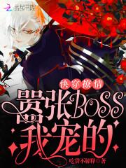 촩飺bossҳ
