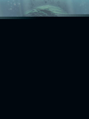 ½̽ٿ