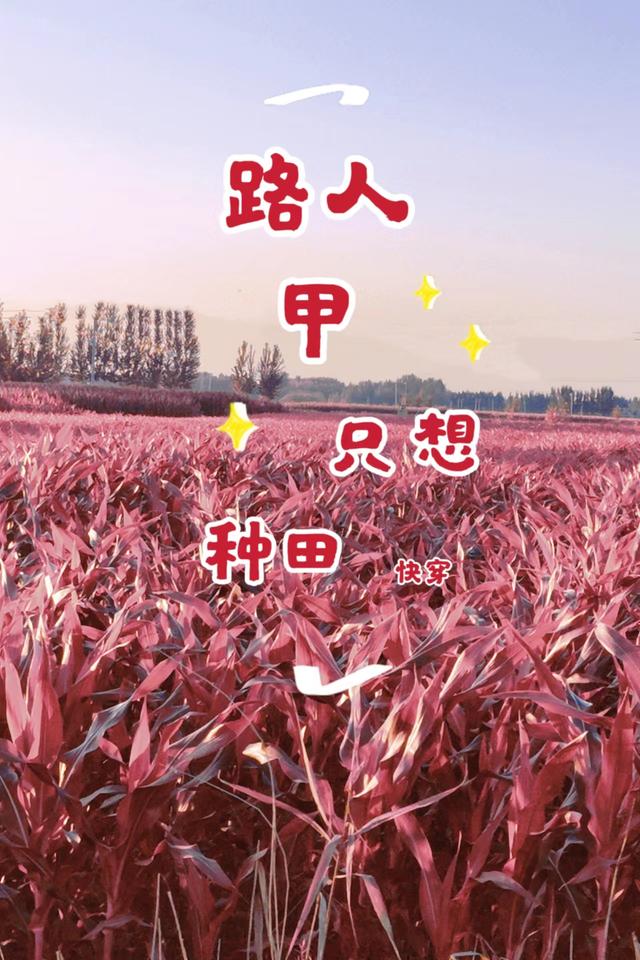 촩·˼ֻ