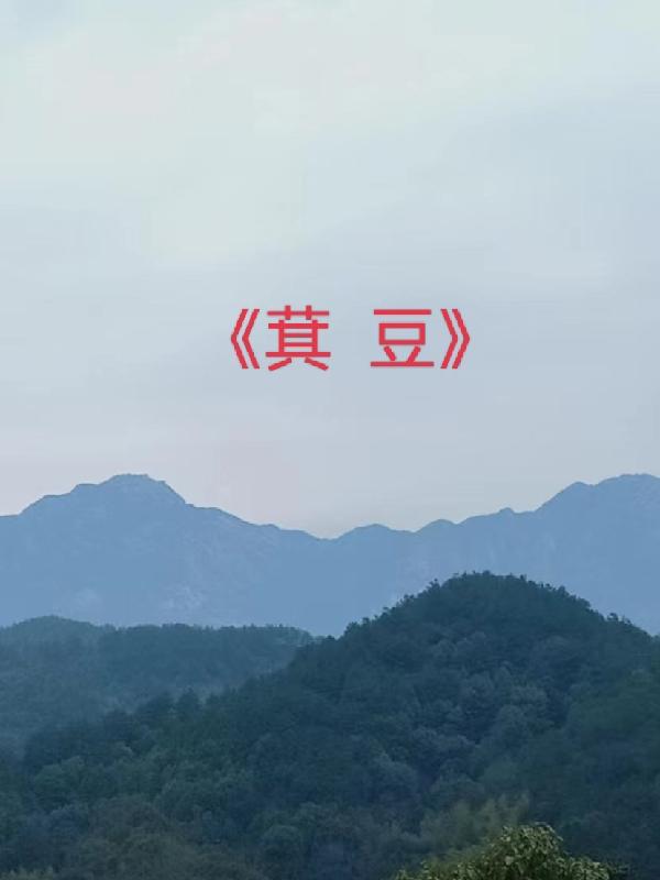 ݽ