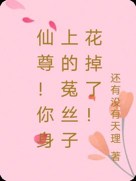 ϵ˿ӻˣ