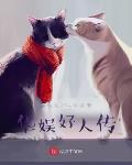 ˴