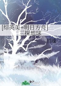 [Ӣ+շ]̽